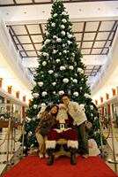 X'mas Tree in Taxfree Store